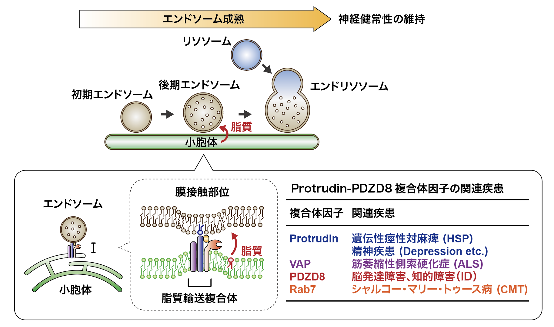 図10