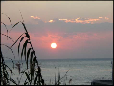 日間賀島から夕日