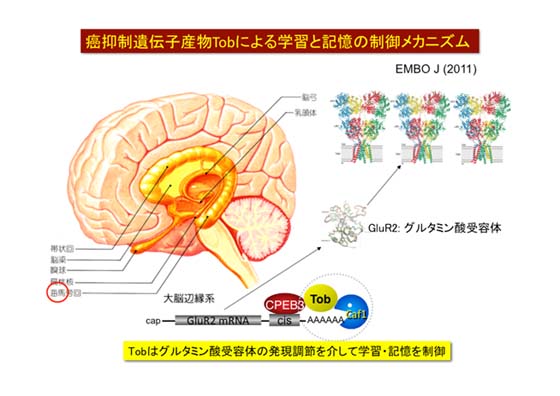 出店の様子