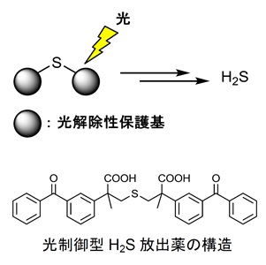 H2S_donor