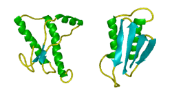 prion