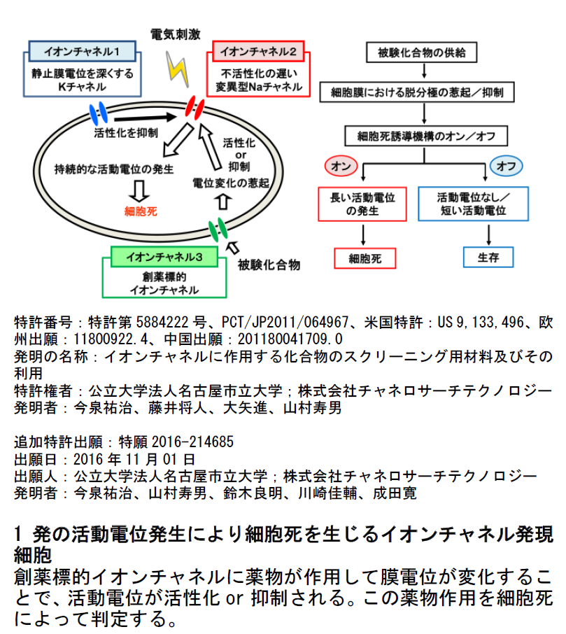 XN[jOpזET