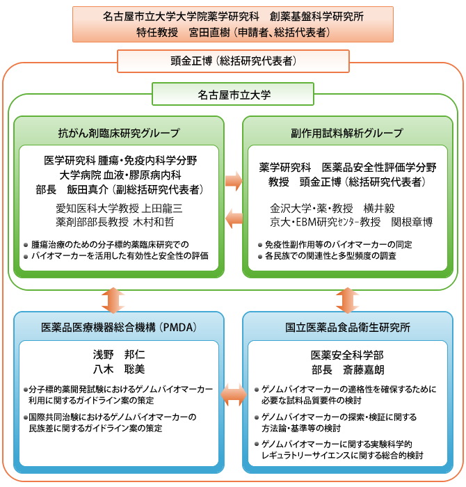 バイオマーカーを活用した分子標的薬の有効性、安全性の効率的評価法の確立