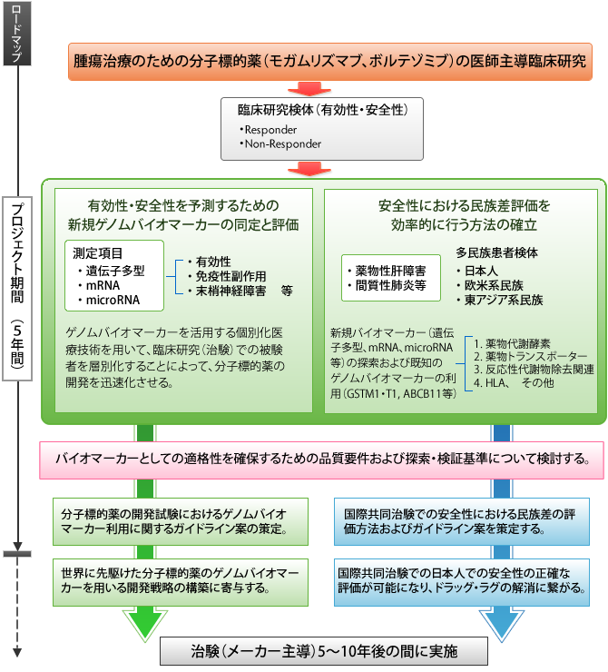 バイオマーカーを活用した分子標的薬の有効性、安全性の効率的評価法の確立