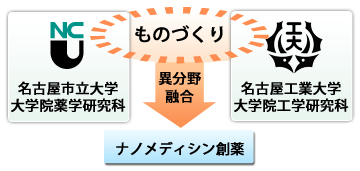 薬学・工学両分野の「融合」から生まれる、「ナノメディシン創薬」